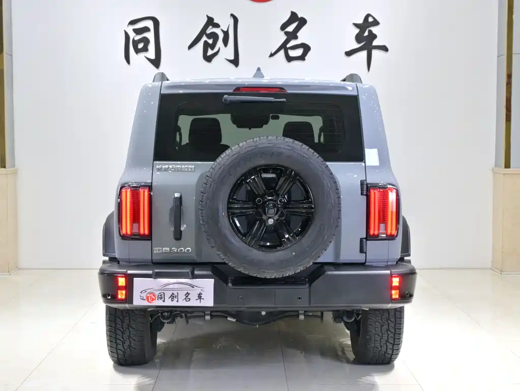 TANK 300 2025 Edition 2.4T Diesel