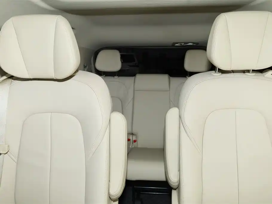 Buick GL8 2023 ES Land Business Class Premium