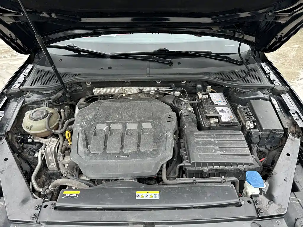 Volkswagen Magotan 2020 330TSI DSG Leading