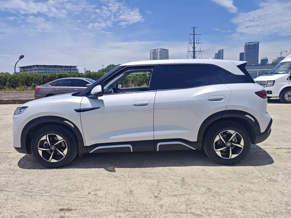 BYD Yuan UP 2024 401KM Leading Edition