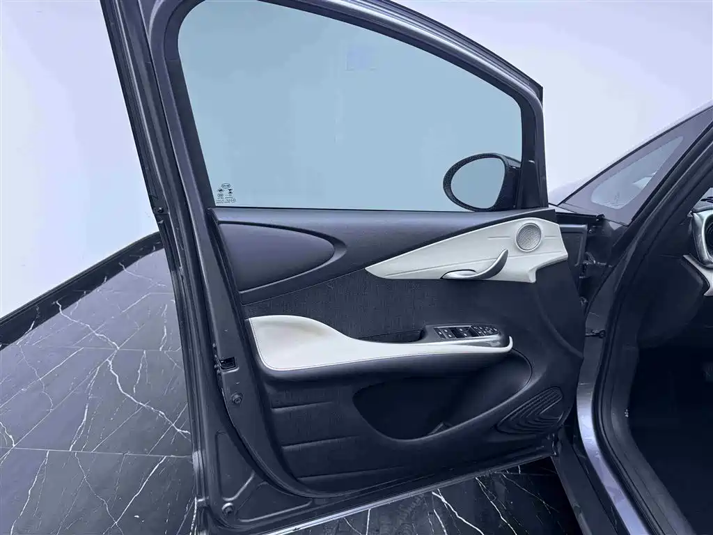 BYD Dolphin 2023 420km Trend