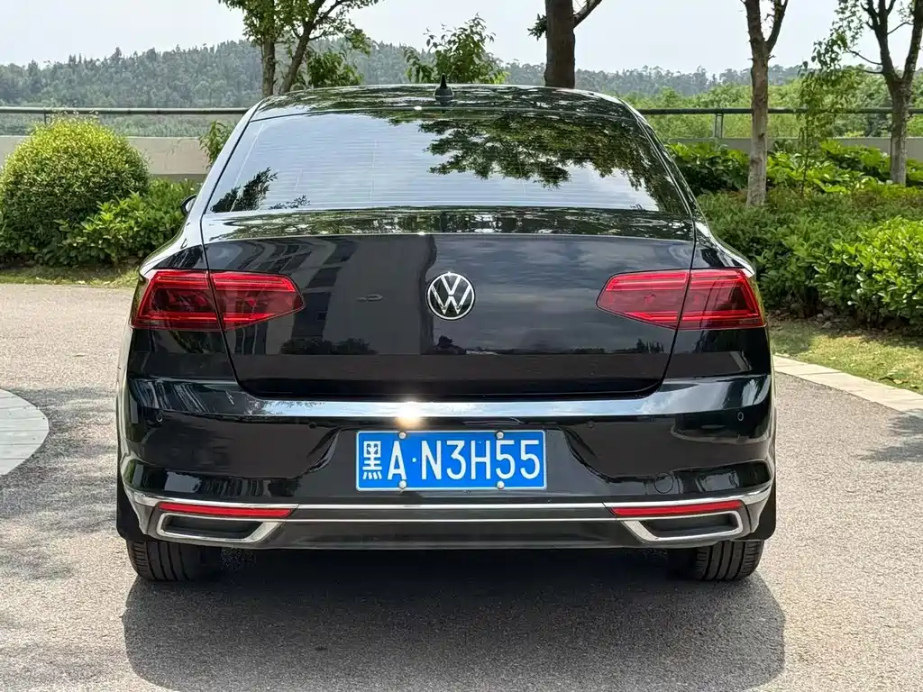 Volkswagen Magotan 2020 330TSI DSG Leading