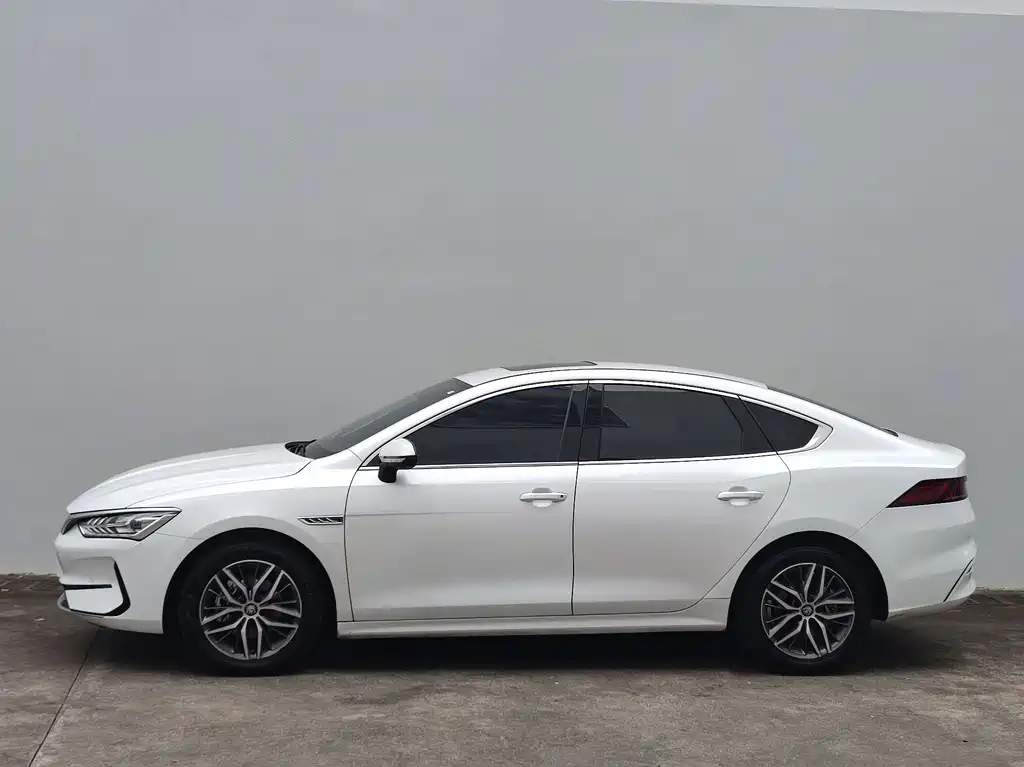 BYD Qin PLUS EV 500KM Prestige Edition 2021
