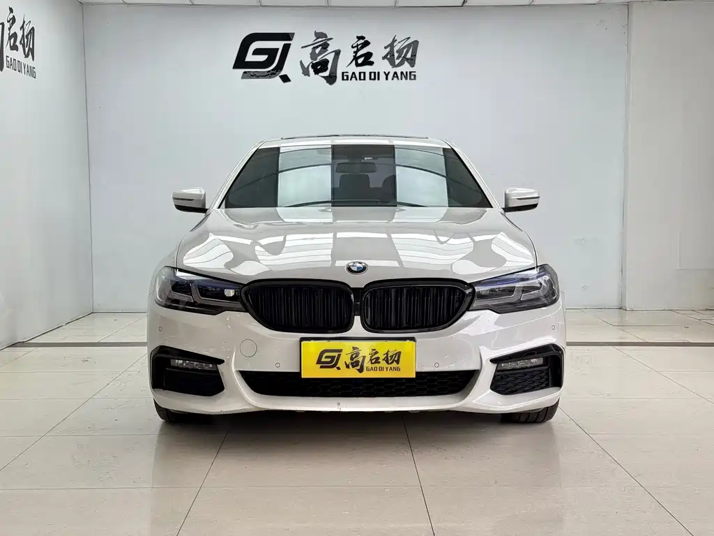 BMW 5 Series 2019 530Li M Sport