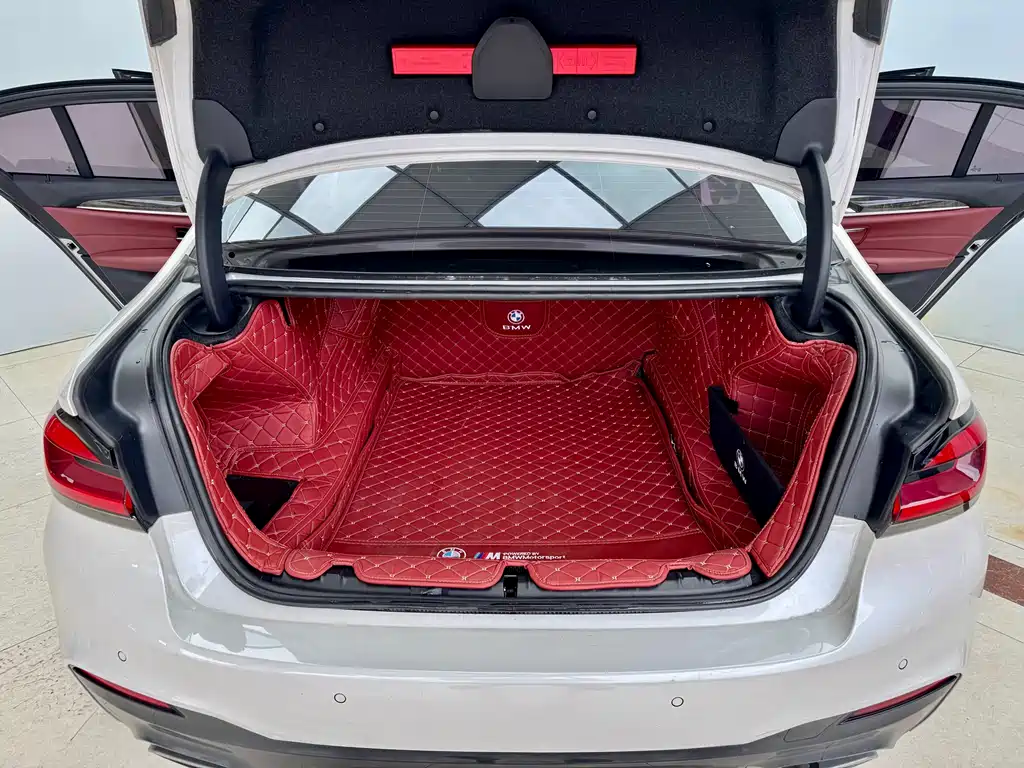 BMW 5 Series 2019 530Li M Sport