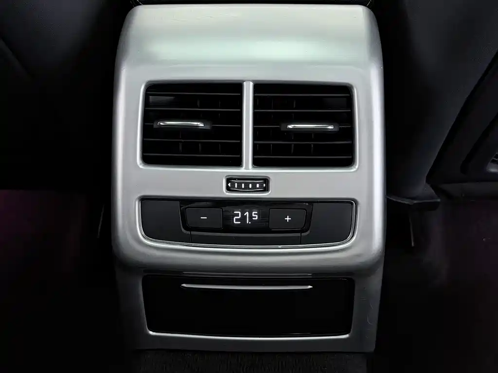 Audi A4L 2020 40 TFSI Luxury