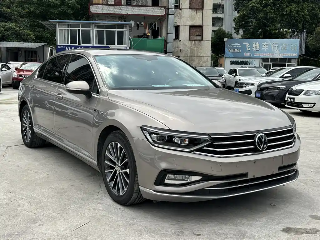 Volkswagen Magotan 2020 330TSI DSG Luxury