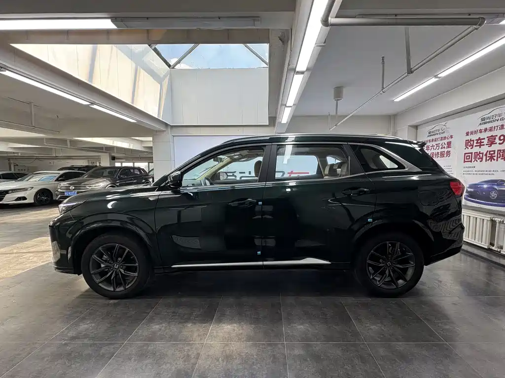 Lan Dian E5 PLUS 2025 165km Long Range Priority Edition 5-Seater
