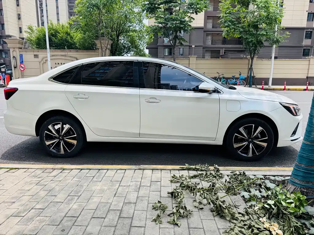 Feifan ER6 2021