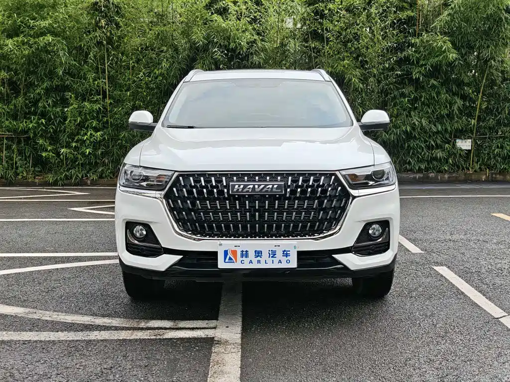 Haval H6 2023 Guochao Edition 1.5T Automatic Urban Edition
