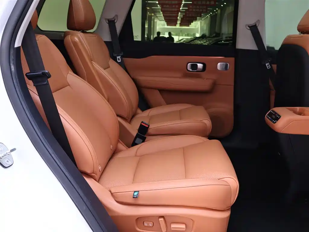 Leapmotor C16 2024 EREV 200 Premium Edition