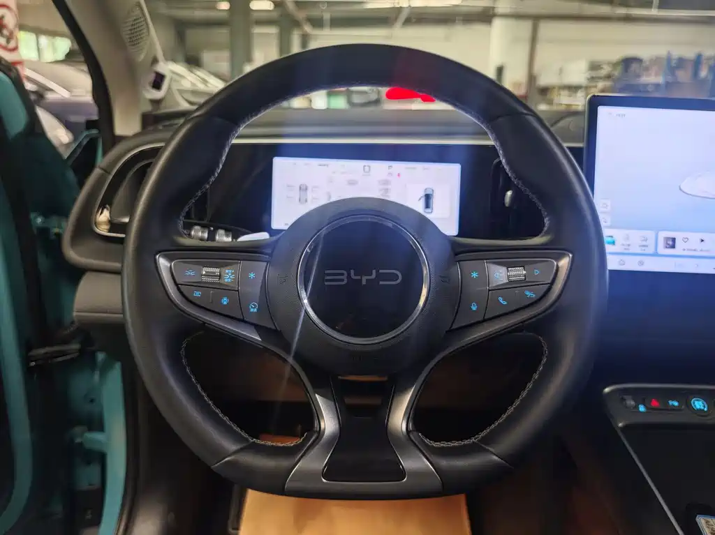 Sealion 05 EV 2025 520KM Flagship Intelligent Navigation Edition