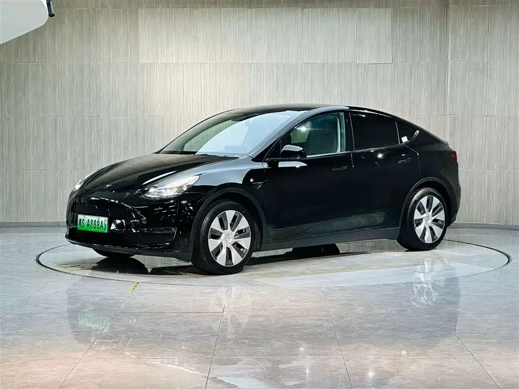 Model Y 2021 Standard Range RWD
