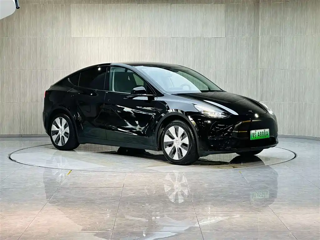 Model Y 2021 Standard Range RWD