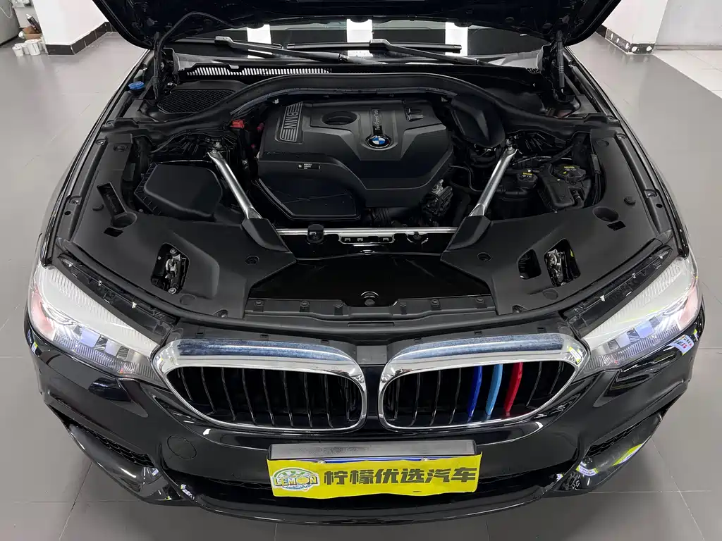 BMW 5 Series 2020 525Li M Sport Package