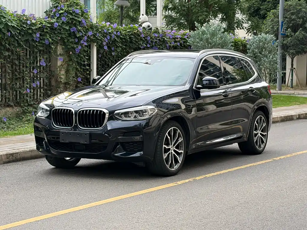 BMW X3 2021 xDrive30i Leading Edition M Sport Package