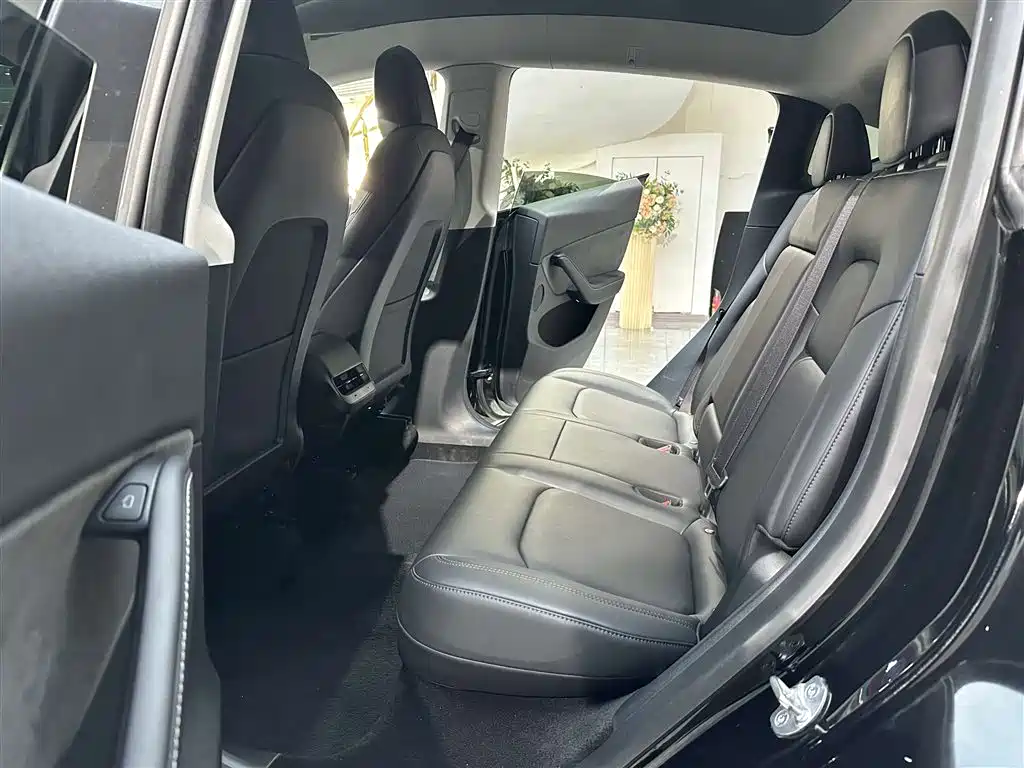Model Y 2021 Standard Range RWD