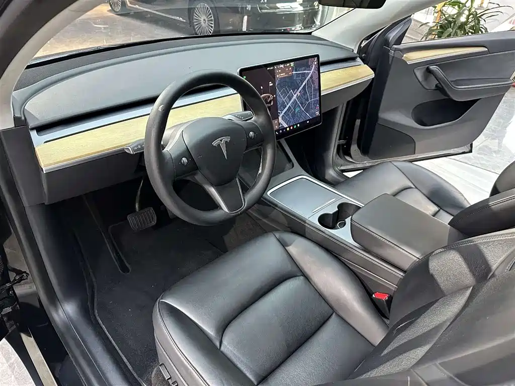 Model Y 2021 Standard Range RWD