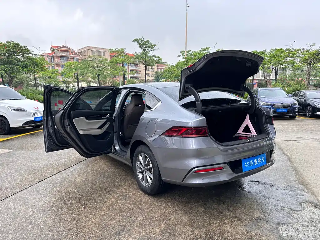 BYD Qin PLUS DM-i 55KM Leading Edition