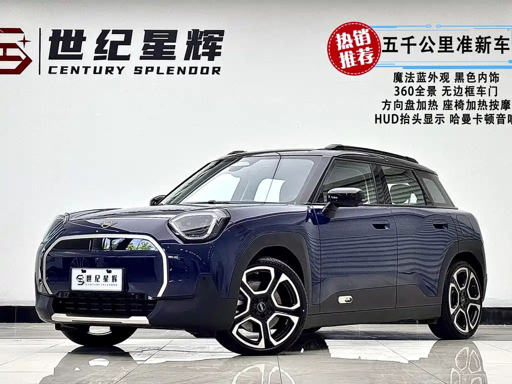 Electric MINI ACEMAN 2024 SE Artist