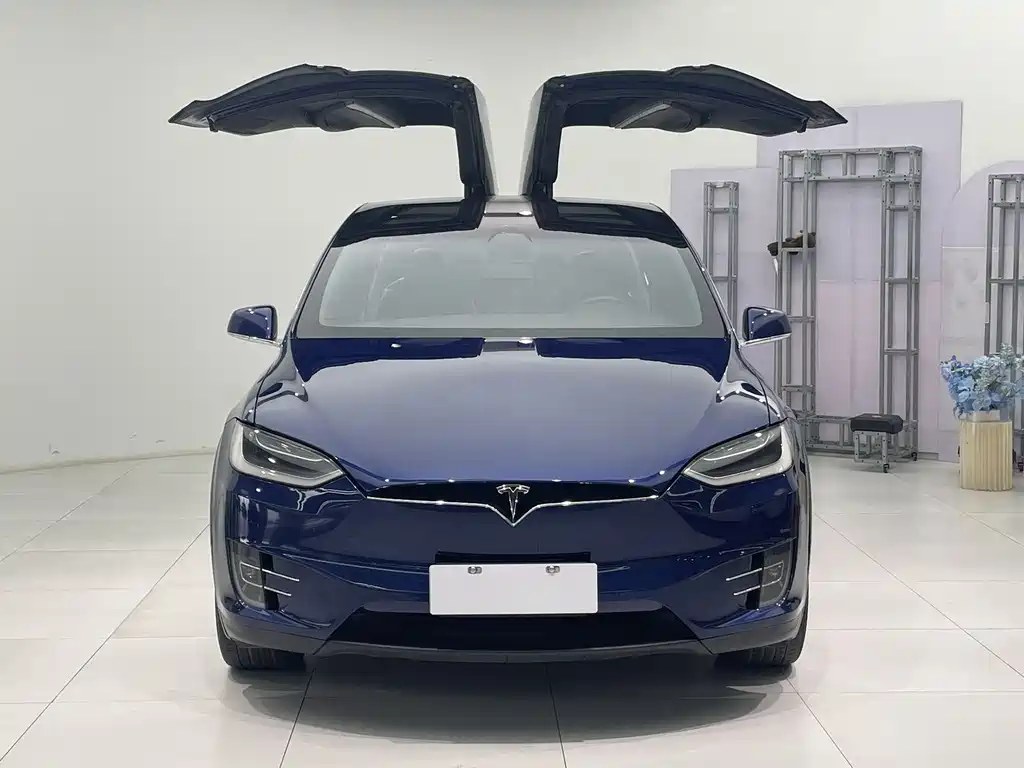 Tesla Model X 2017 100D Long Range