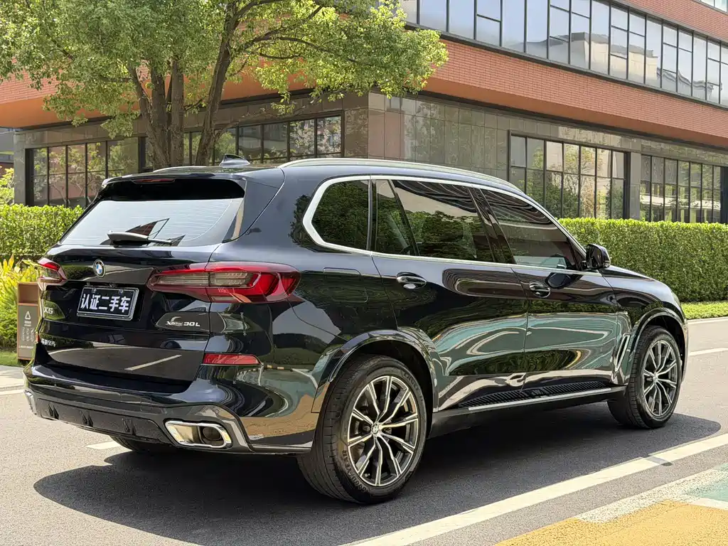 BMW X5 2022 xDrive 30Li M Sport Package