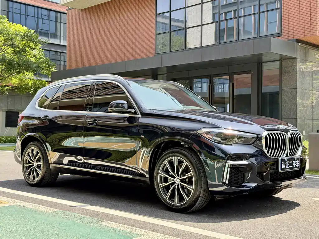 BMW X5 2022 xDrive 30Li M Sport Package