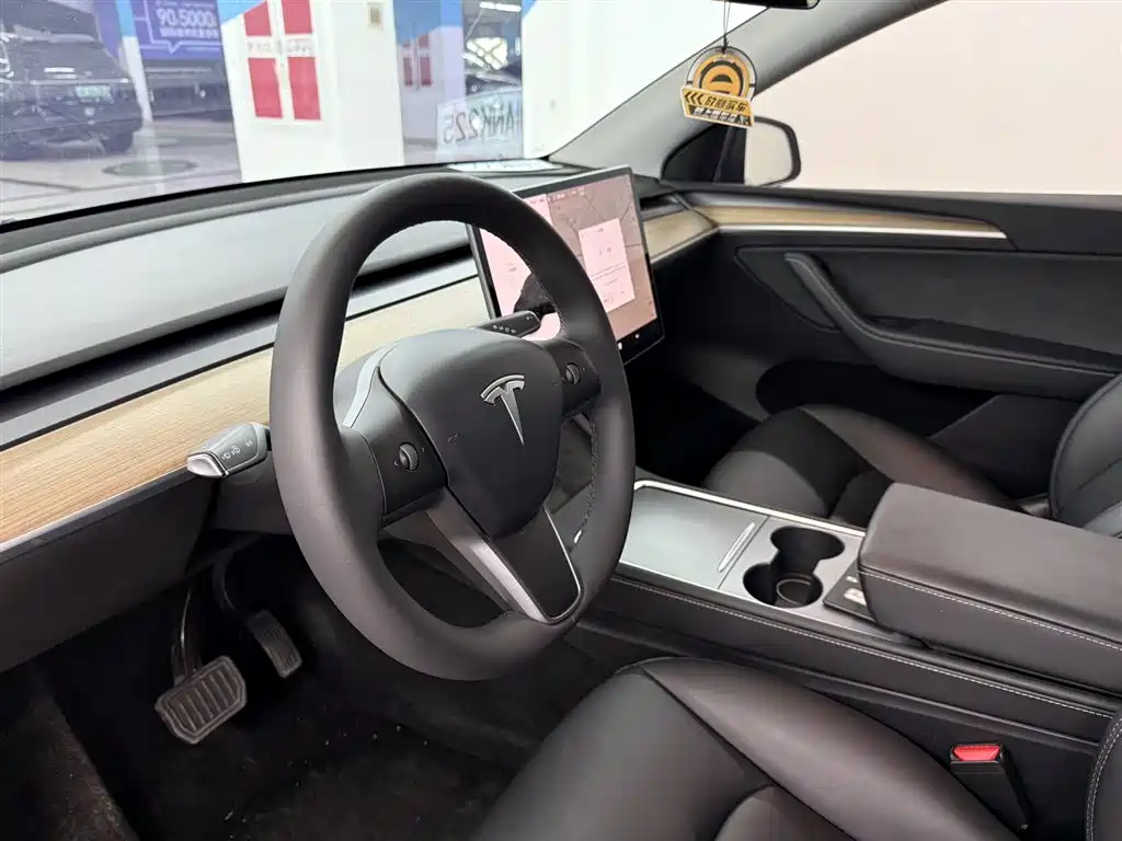 Model Y 2021 Standard Range Rear-Wheel Drive Edition