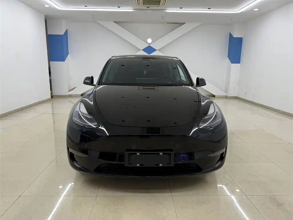 Model Y 2021 Standard Range Rear-Wheel Drive Edition