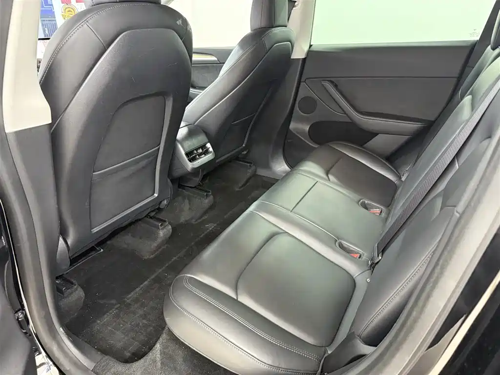 Model Y 2021 Standard Range Rear-Wheel Drive Edition