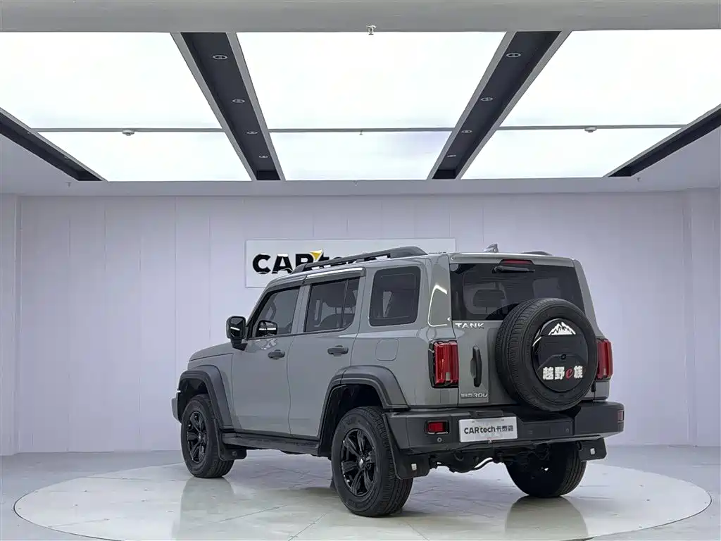 TANK 300 2021 Model Off-Road 2.0T Conqueror