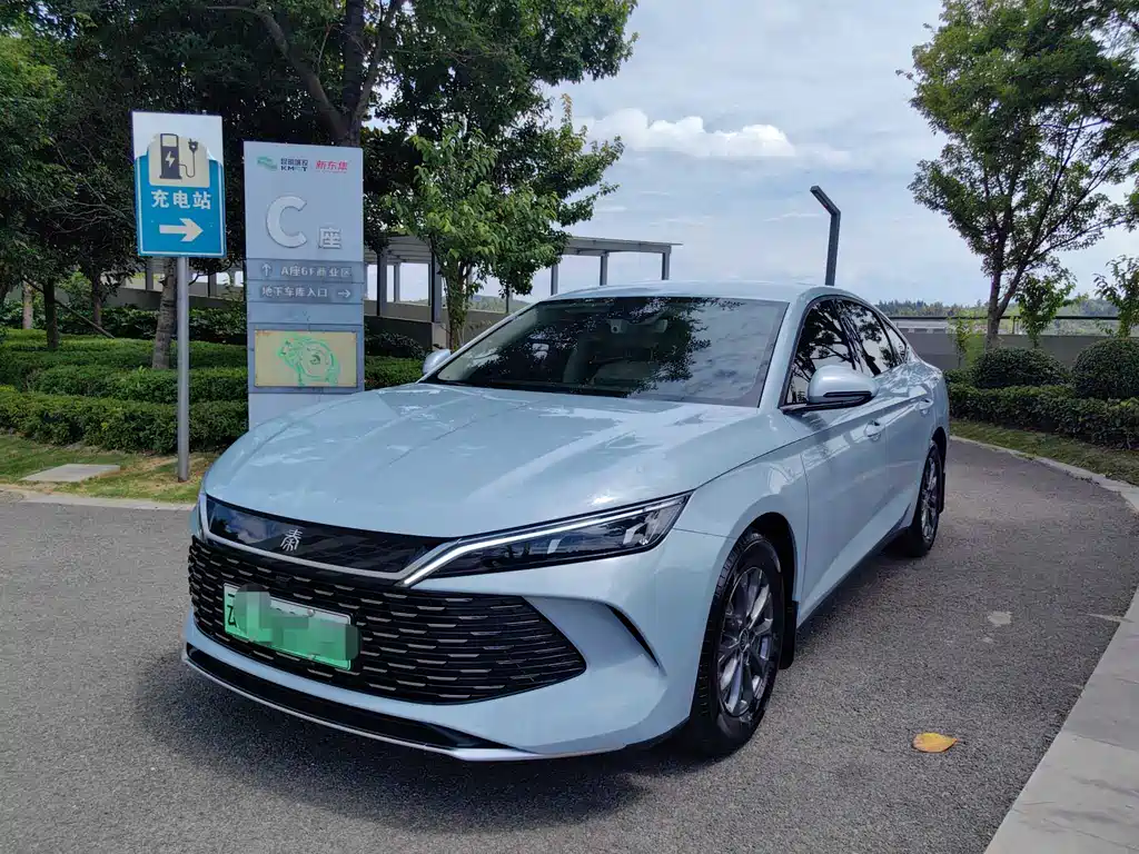 Qin L 2024 DM-i 80KM Leading Edition