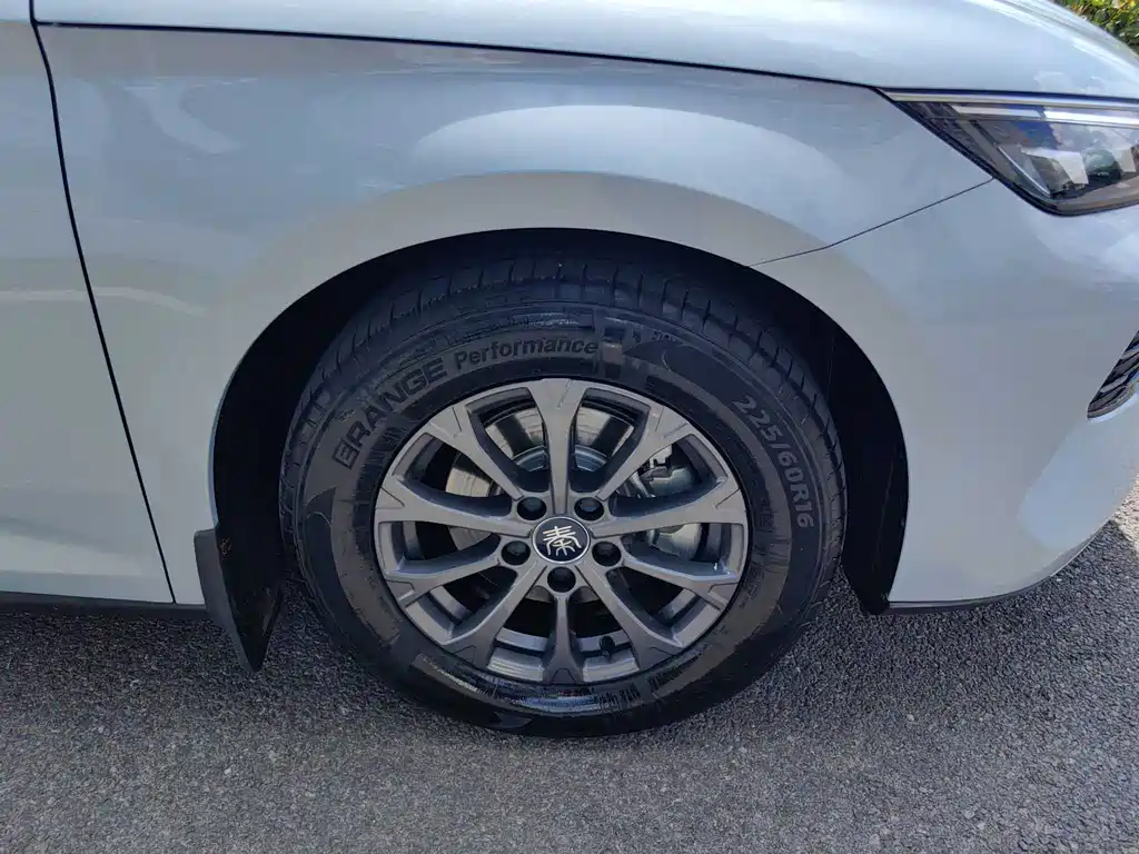 Qin L 2024 DM-i 80KM Leading Edition
