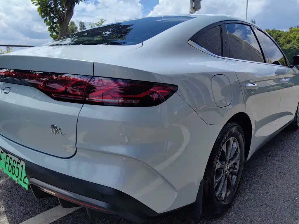 Qin L 2024 DM-i 80KM Leading Edition