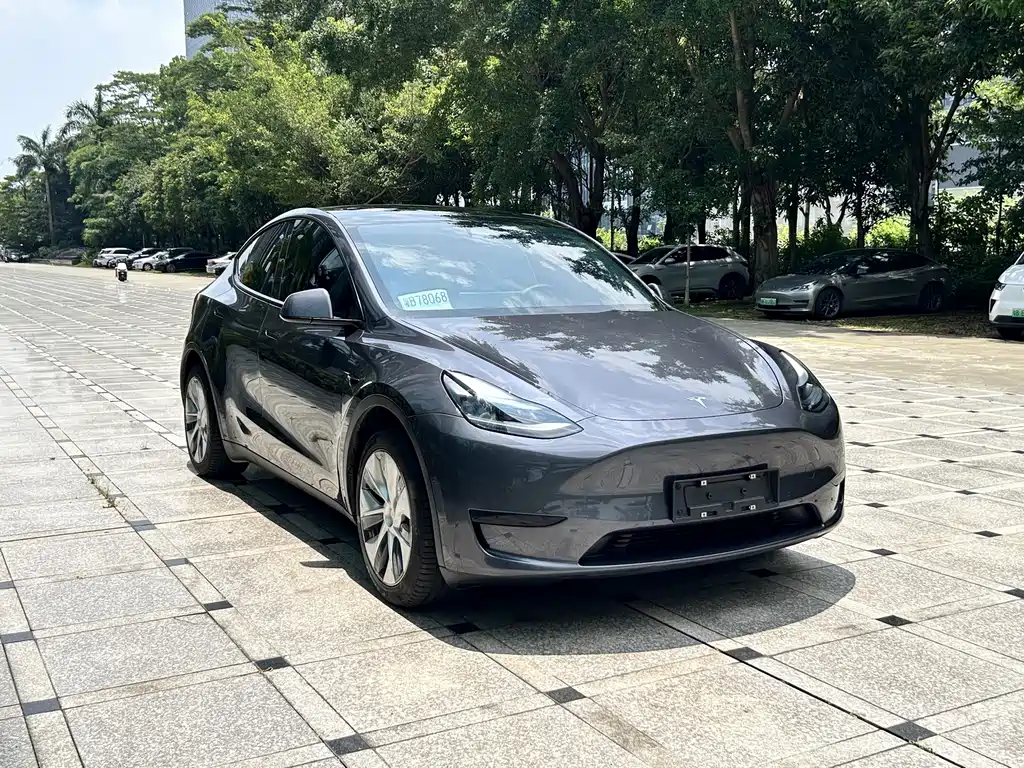Model Y 2022 Rear-Wheel Drive Edition