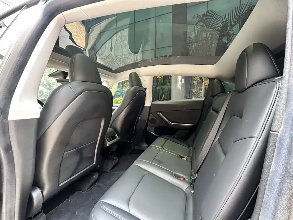 Model Y 2022 Rear-Wheel Drive Edition