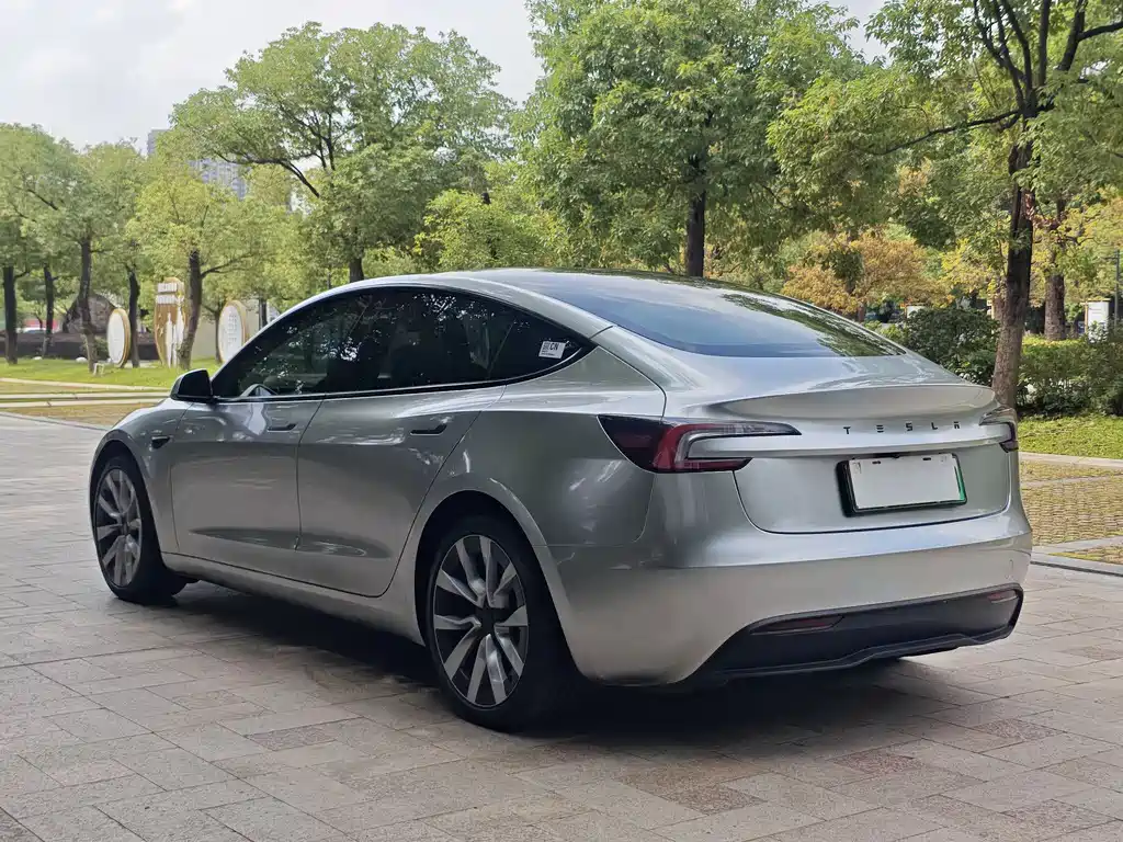 Model 3 2025 Rear-Wheel Drive Edition