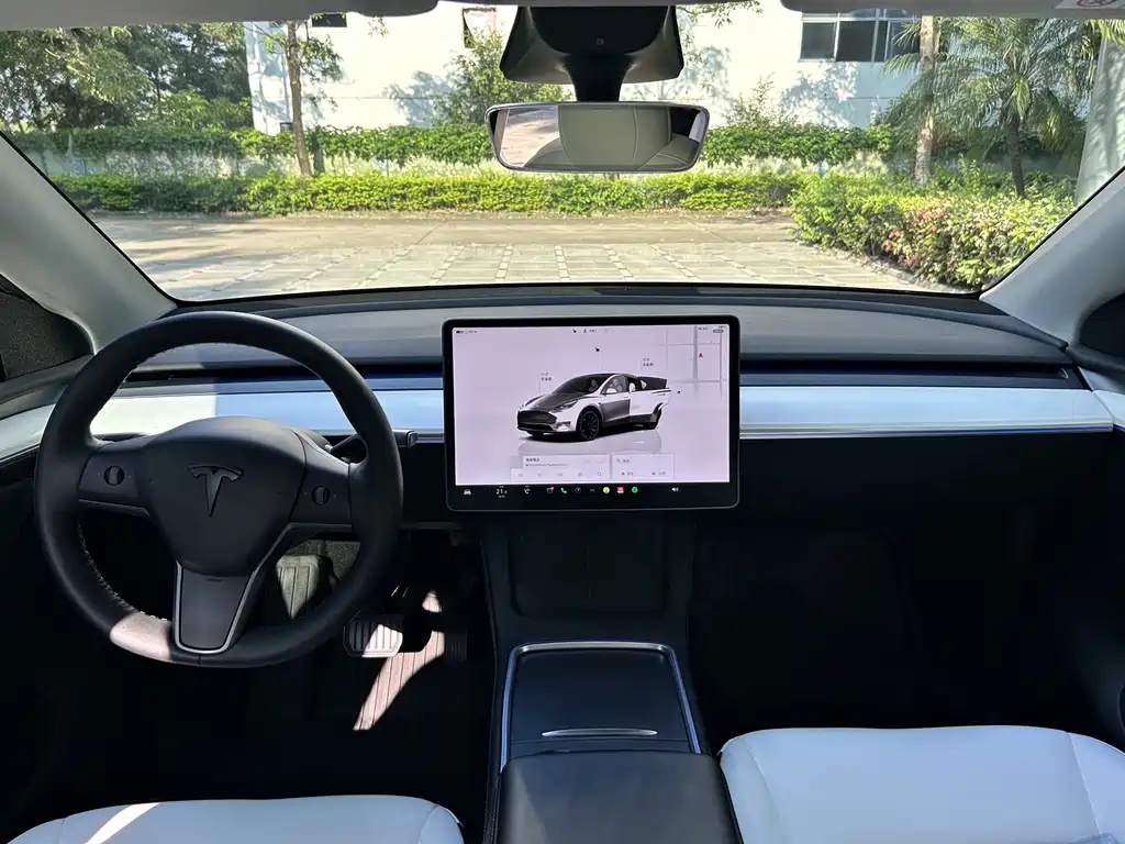 Model Y 2022 Rear-Wheel Drive Edition