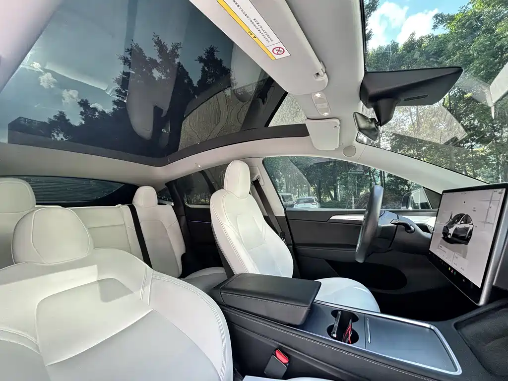Model Y 2022 Rear-Wheel Drive Edition