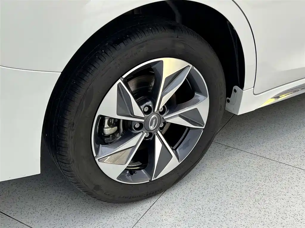 Chuanqi M6 2025 Model MAX 270T WDCT Luxury Edition