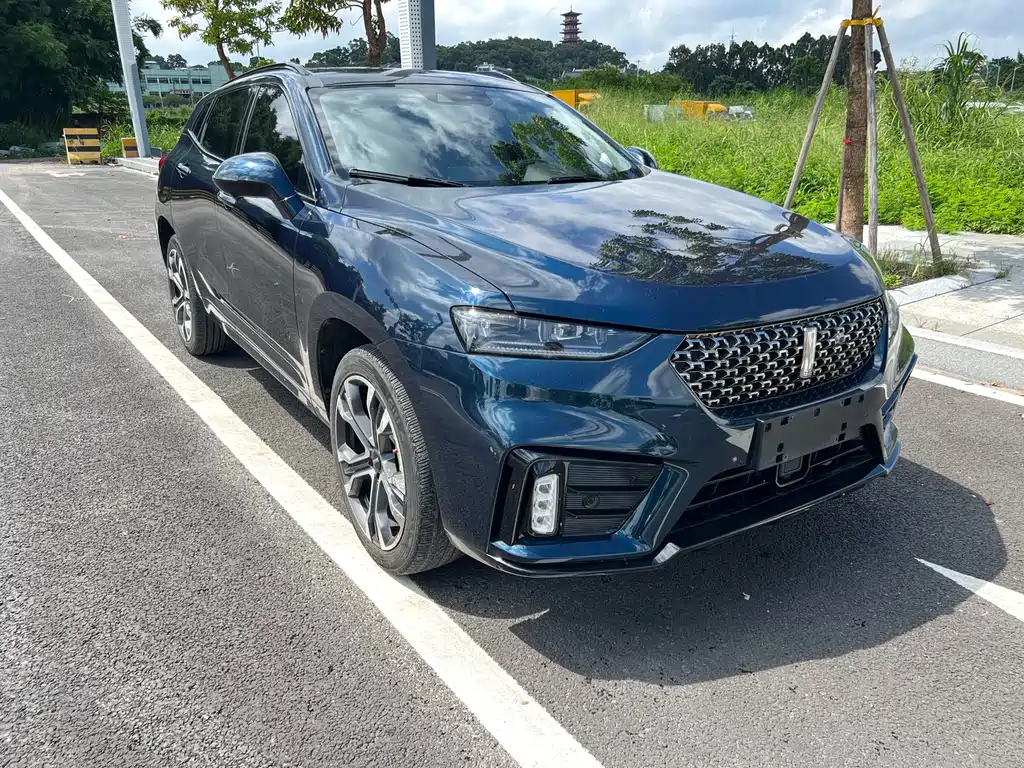 Weilai VV7 2020 2.0T Flagship Edition