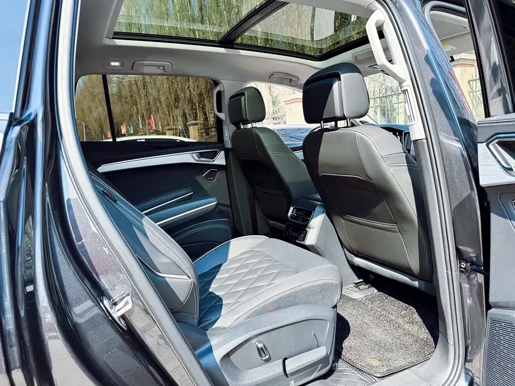 Lan Jin 2023 Model Revised 530TSI 4x4 Flagship Sheng Jin Edition Pro 6-seat