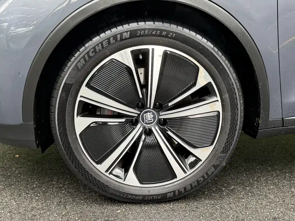 Tang New Energy 2022 DM-p 215KM All-Wheel Drive Flagship Model