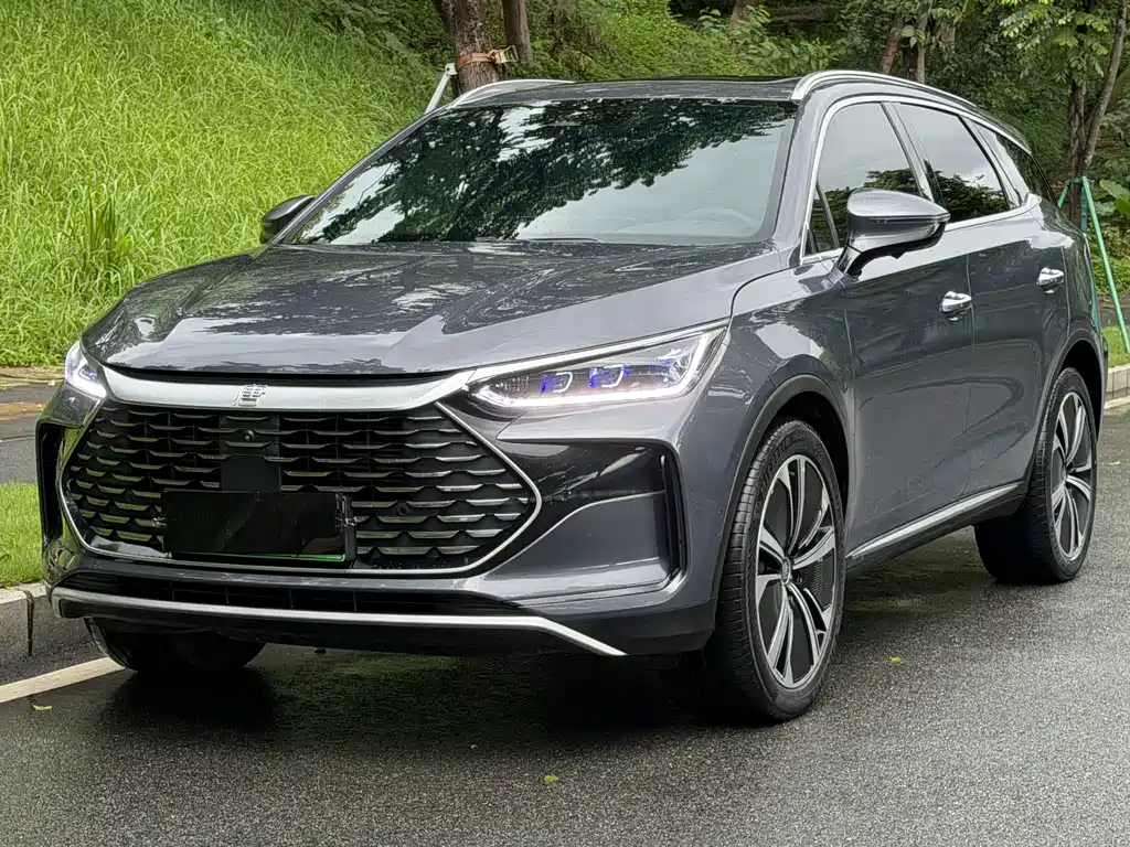 Tang New Energy 2022 DM-p 215KM All-Wheel Drive Flagship Model