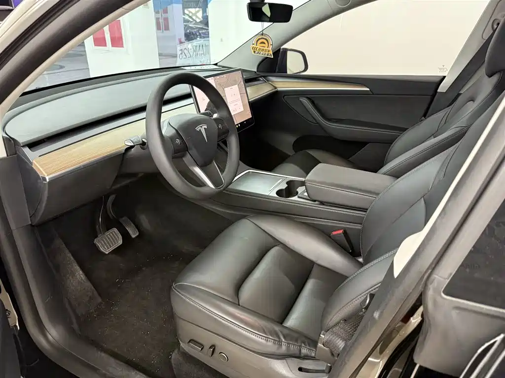 Model Y 2021 Standard Range Rear-Wheel Drive Edition