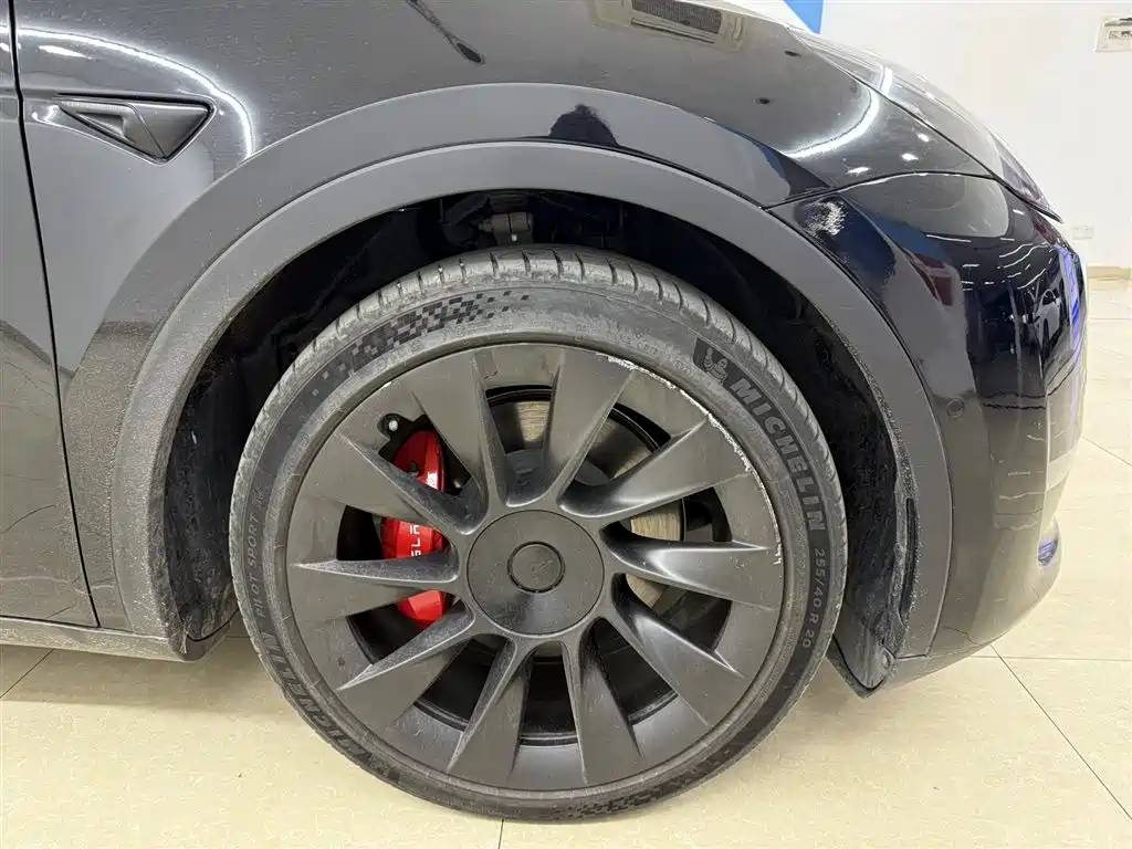 Model Y 2021 Standard Range Rear-Wheel Drive Edition