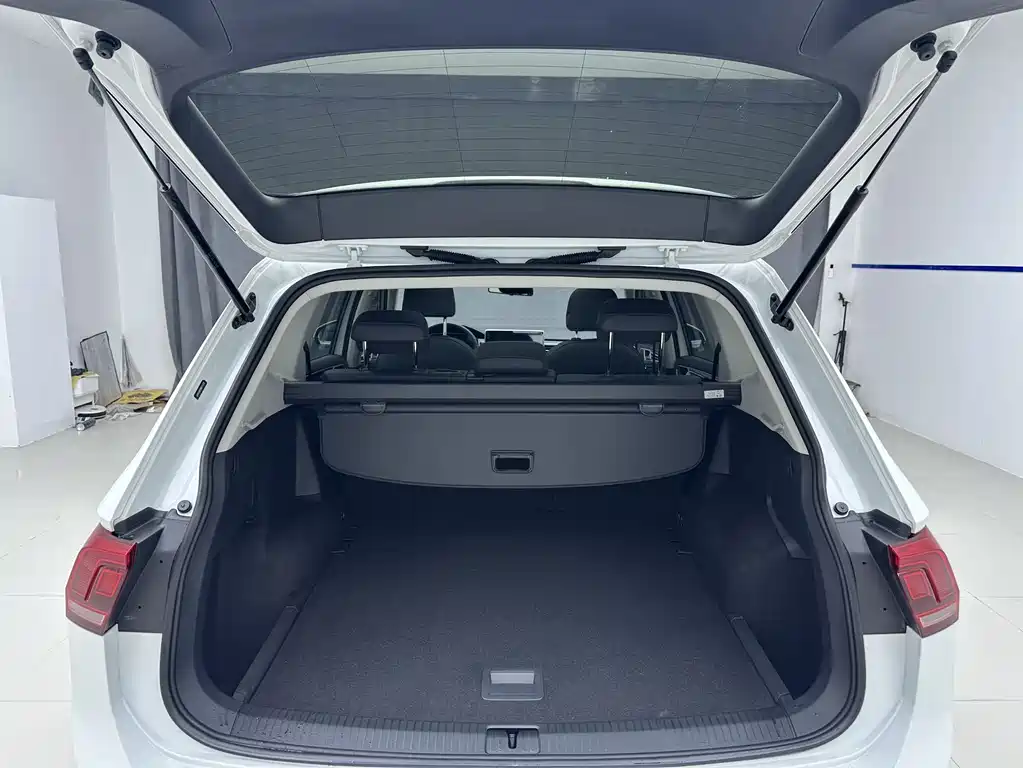 Taycan L 2023 Edition 280 TSI Automatic Two-Wheel Drive Oceanic Limited Edition
