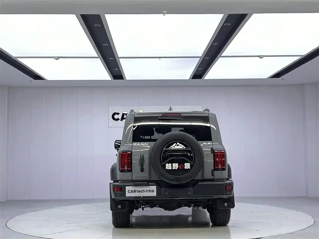 TANK 300 2021 Model Off-Road 2.0T Conqueror