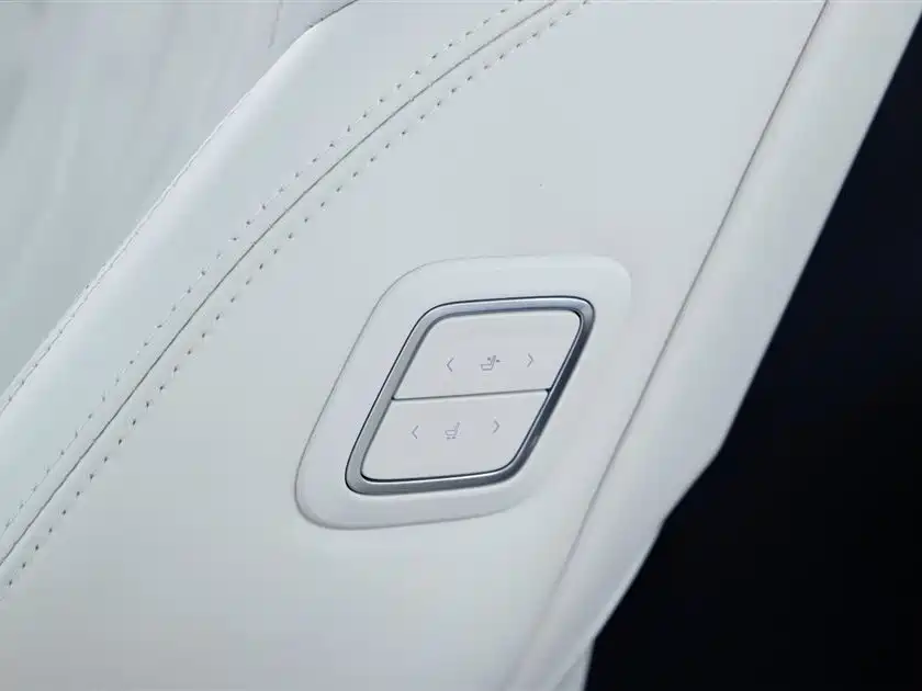 2023 Century 2.0T Six-Seater Yunshi Edition