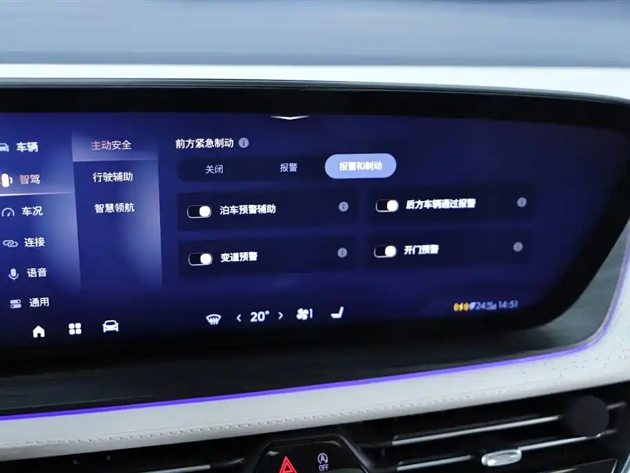 2023 Century 2.0T Six-Seater Yunshi Edition